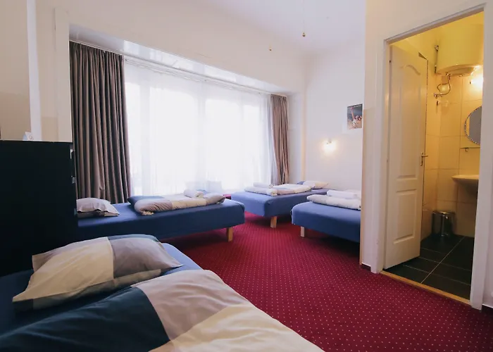 Maverick Downtown Hostel *